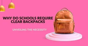 Waarom hebben scholen doorzichtige rugzakken nodig: de noodzaak blootleggen